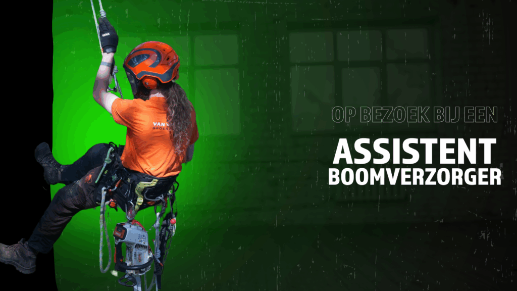 YouTube Thumbnail GSV (9)